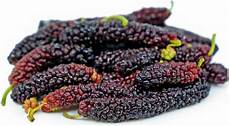 Black Mulbery Jam